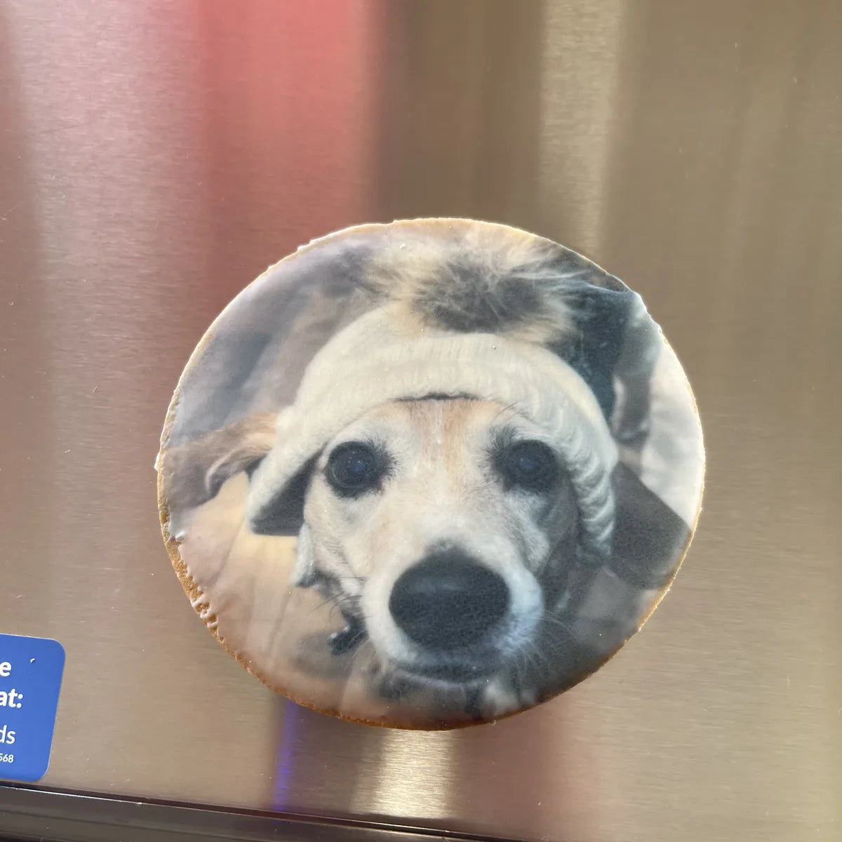 A pet portrait printed on a custom Cookies for Cause cookie